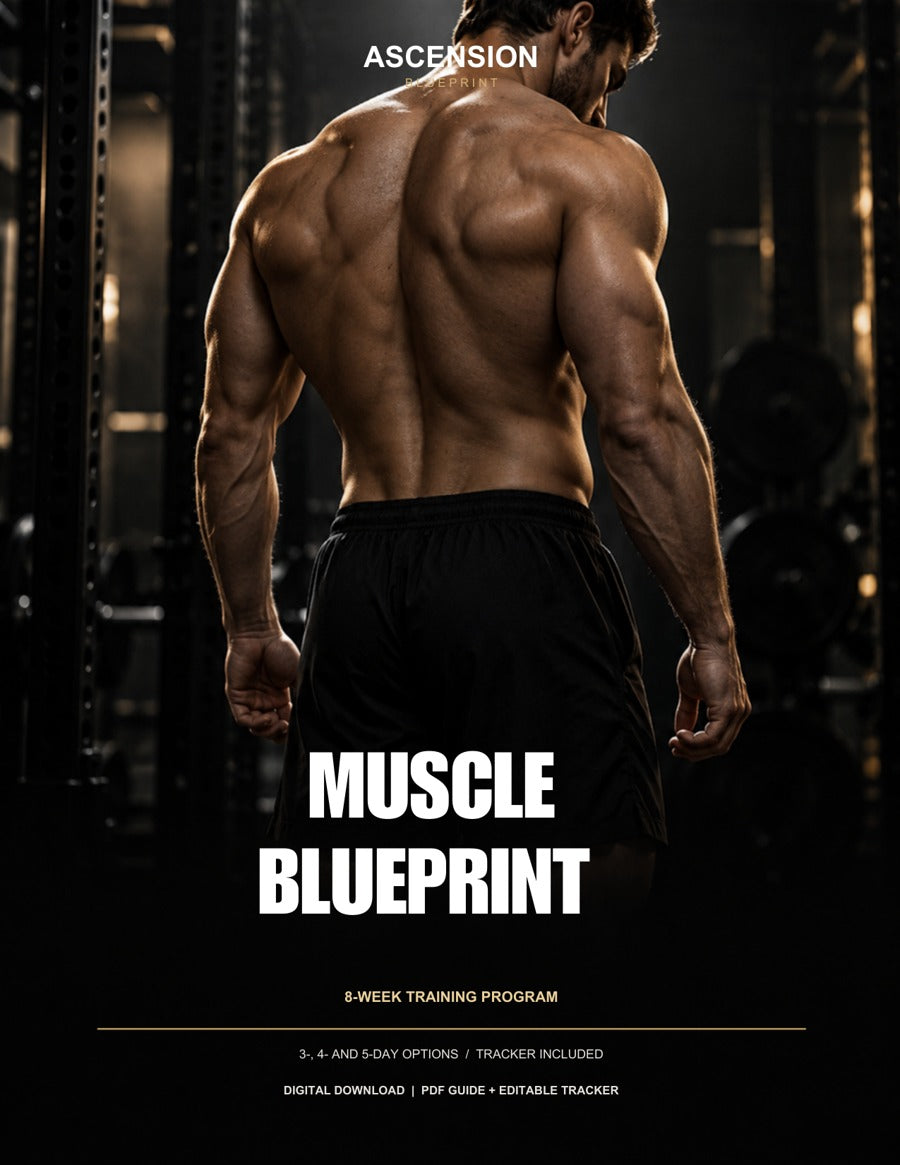 Muscle Blueprint