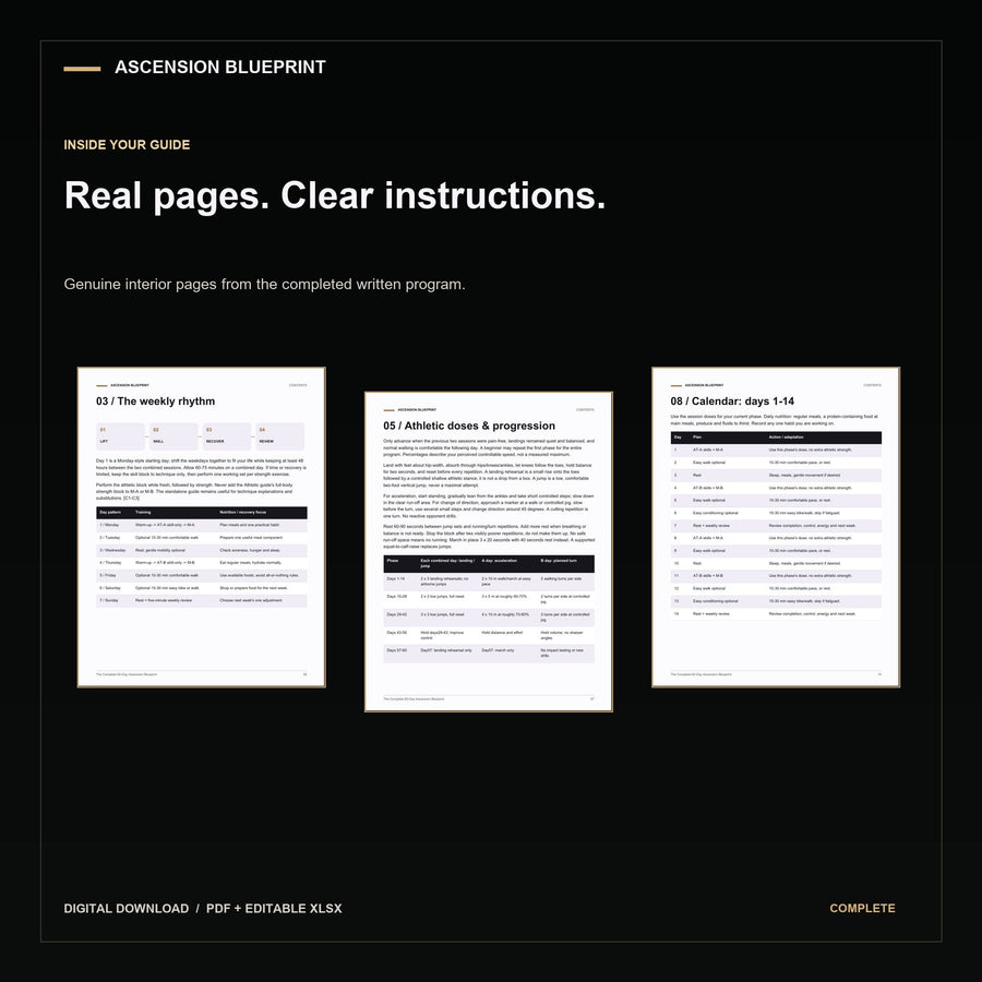 complete Blueprint inside. Digital download; actual completed guide and tool previews.